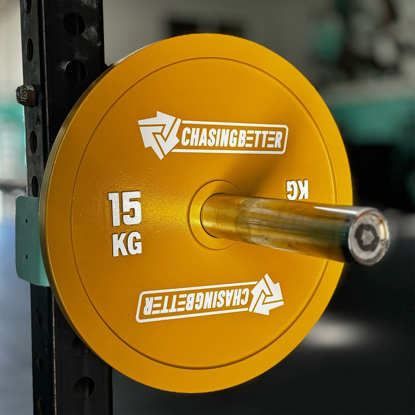 ChasingBetter Steel Plates (Sold in Pairs)